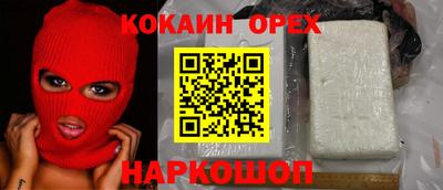 гидра Брянск