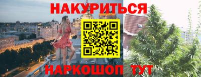 гидра Брянск