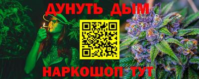 гидра Брянск
