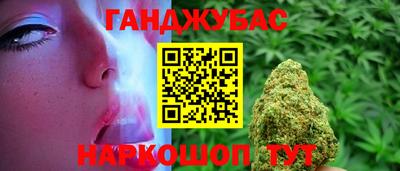 гидра Брянск