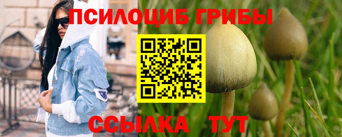 Богородск  Галлюциногенные грибы мухоморы  Вход с VPN 